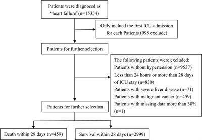 Interpretable machine learning for 28-day all-cause in-hospital mortality prediction in critically ill patients with heart failure combined with hypertension: A retrospective cohort study based on medical information mart for intensive care database-IV and eICU databases